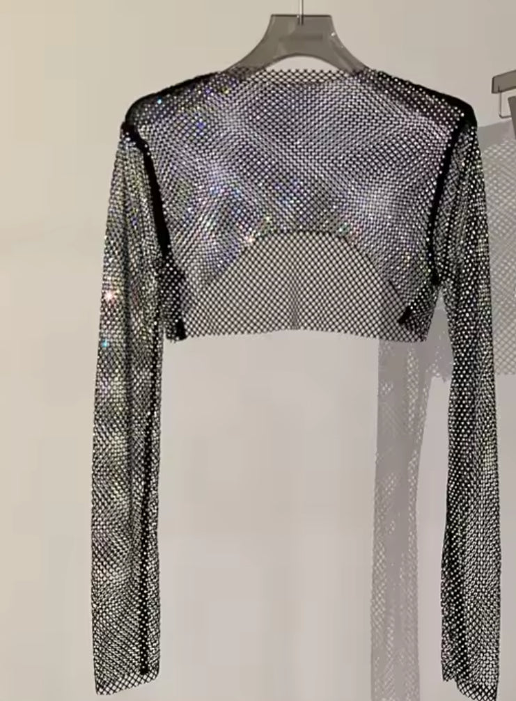 Rhinestone Shimmer Crop Top
