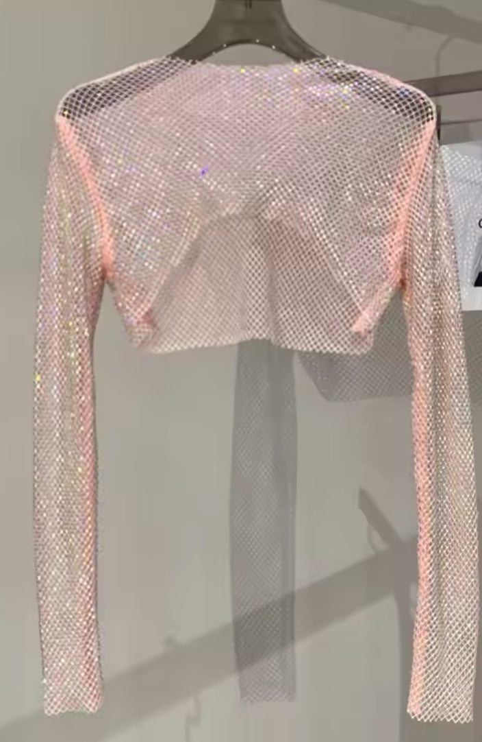 Rhinestone Shimmer Crop Top