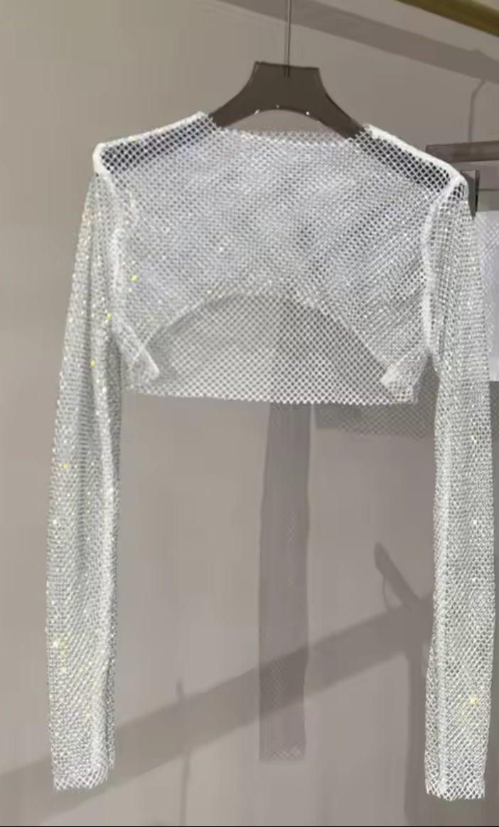 Rhinestone Shimmer Crop Top